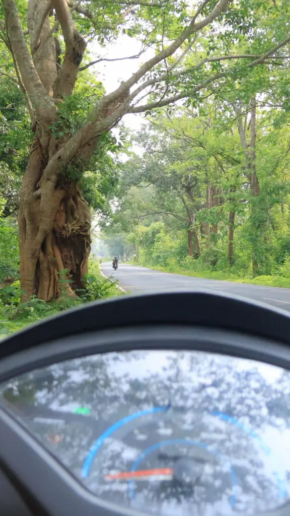 road, bike and nature