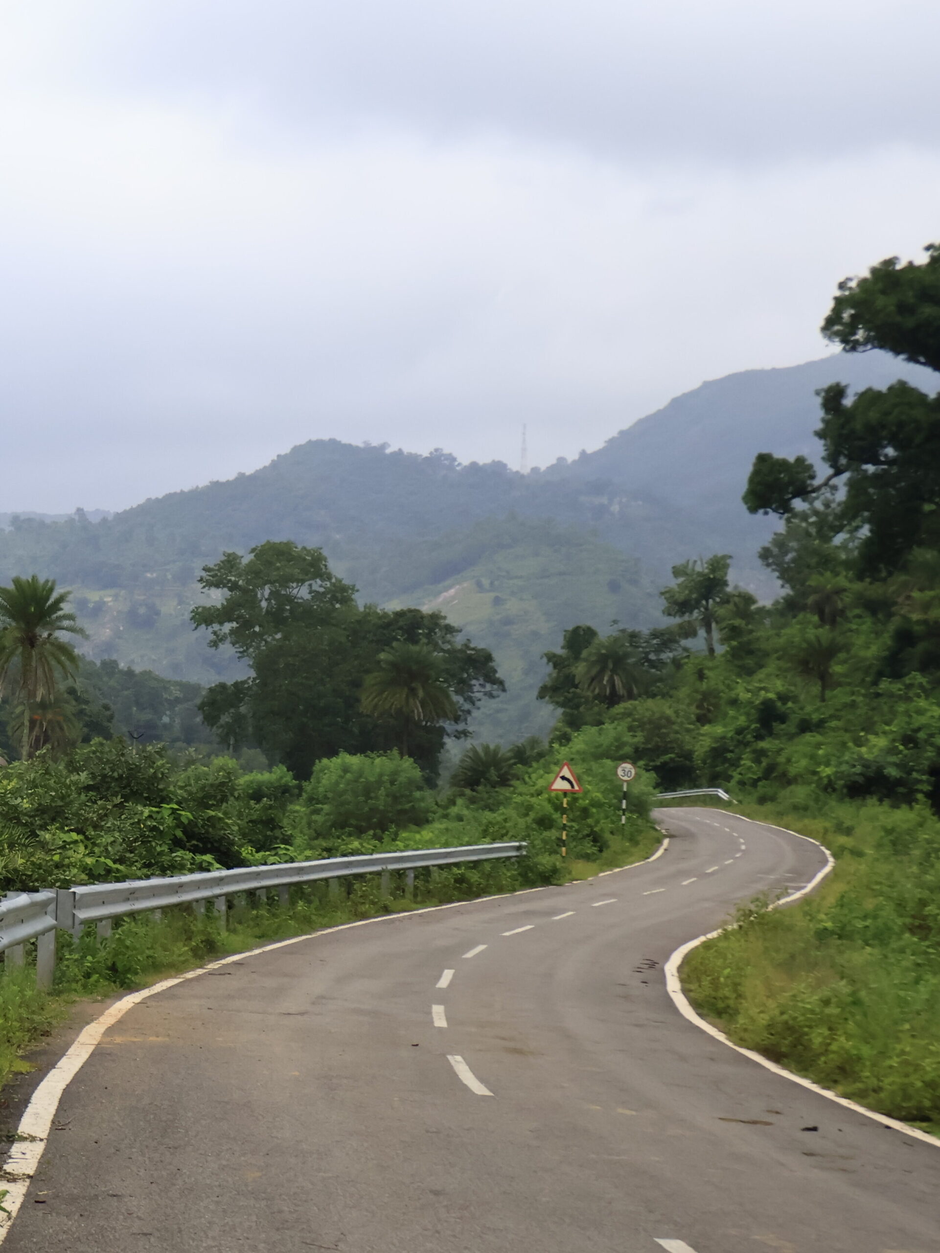 winding road cutting through trees, forest and hills of eastern ghats winding road cutting through trees, forest and hills of eastern ghats